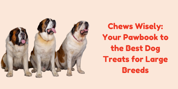 Chews Wisely: Your Pawbook to the Best Dog Treats for Large Breeds