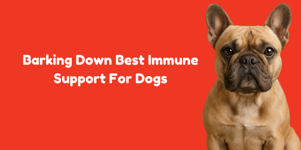 Barking Down Best Immune Support For Dogs
