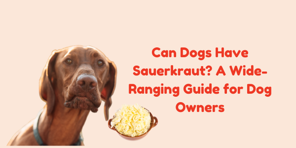 Can Dogs Have Sauerkraut? A Wide-Ranging Guide for Dog Owners