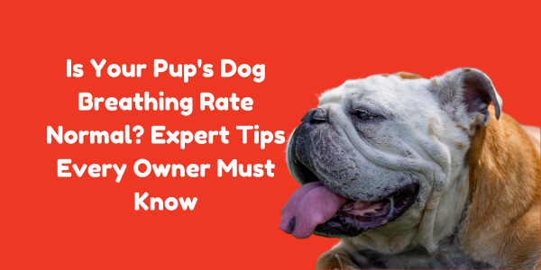 Is Your Pup's Dog Breathing Rate Normal? Expert Tips Every Owner Must Know