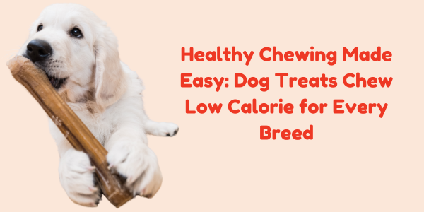 Healthy Chewing Made Easy: Dog Treats Chew Low Calorie for Every Breed