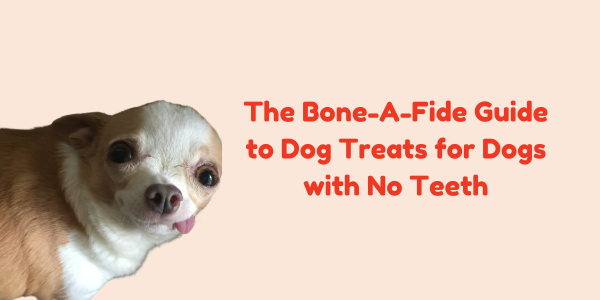 The Bone-A-Fide Guide to Dog Treats for Dogs with No Teeth