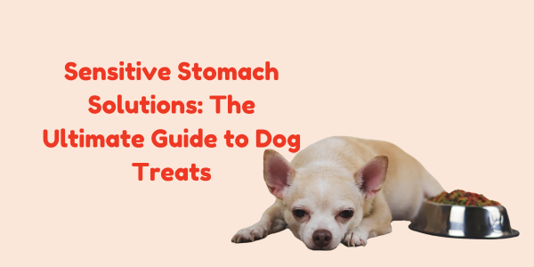 Sensitive Stomach Solutions: The Ultimate Guide to Dog Treats