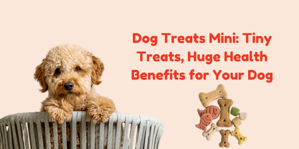 Dog Treats Mini: Tiny Treats, Huge Health Benefits for Your Dog