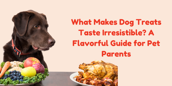 What Makes Dog Treats Taste Irresistible? A Flavorful Guide for Pet Parents