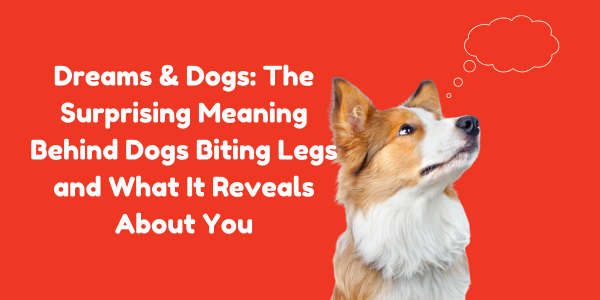 Dreams & Dogs: The Surprising Meaning Behind Dogs Biting Legs and What It Reveals About You
