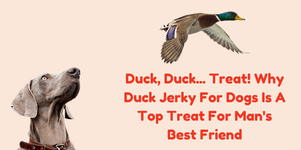 Duck, Duck... Treat! Why Duck Jerky For Dogs Is A Top Treat For Man's Best Friend