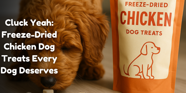Cluck Yeah: Freeze-Dried Chicken Dog Treats Every Dog Deserves