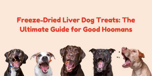 Freeze-Dried Liver Dog Treats: The Ultimate Guide for Good Hoomans