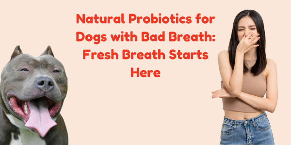 Natural Probiotics for Dogs with Bad Breath: Fresh Breath Starts Here