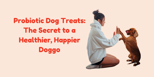 Probiotic Dog Treats: The Secret to a Healthier, Happier Doggo