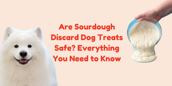 Are Sourdough Discard Dog Treats Safe? Everything You Need to Know