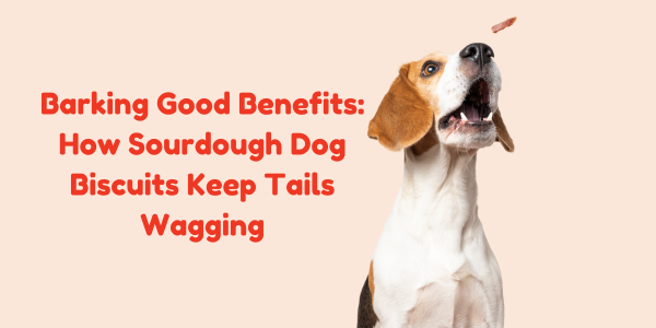 Barking Good Benefits: How Sourdough Dog Biscuits Keep Tails Wagging