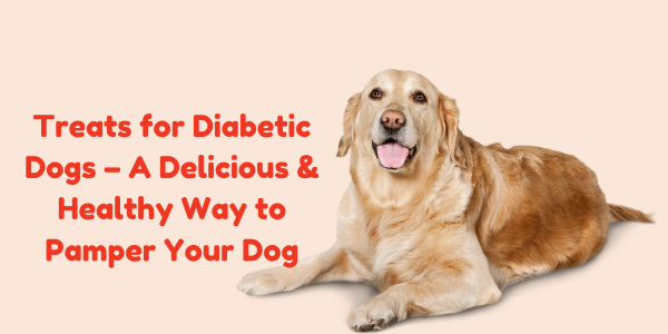 Treats for Diabetic Dogs – A Delicious & Healthy Way to Pamper Your Dog