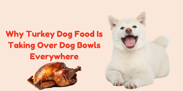 Why Turkey Dog Food Is Taking Over Dog Bowls Everywhere