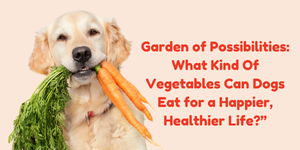 Garden of Possibilities: What Kind Of Vegetables Can Dogs Eat for a Happier, Healthier Life?