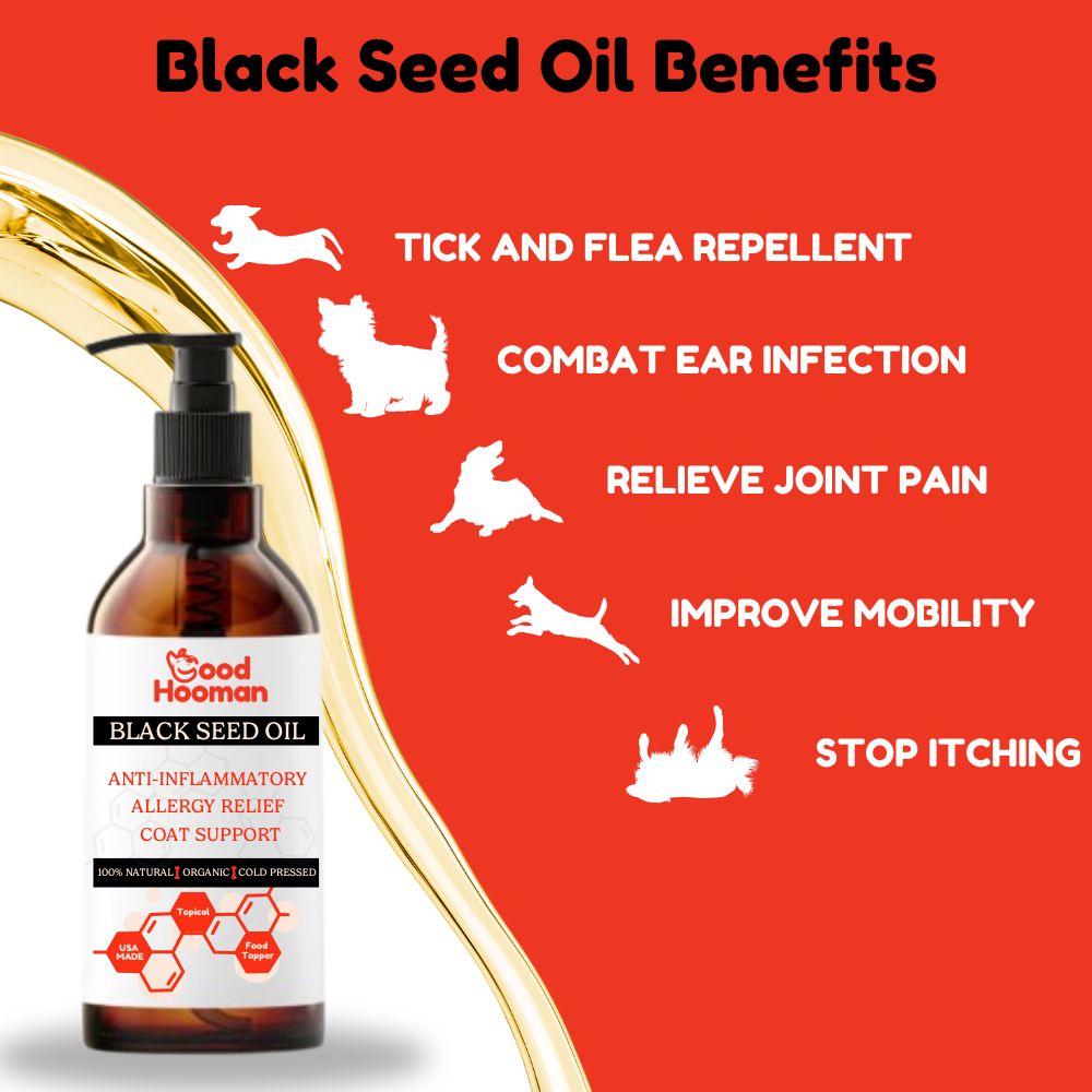 Black Seed Oil Benefits