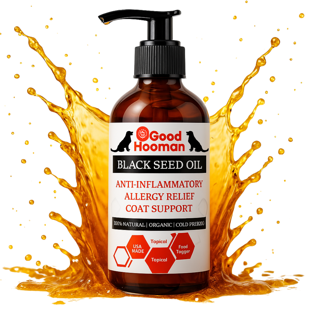 Why black seed oil is the best supplement for dogs