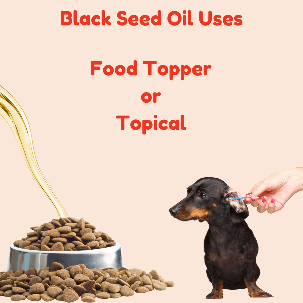 black cumin seed oil for dogs