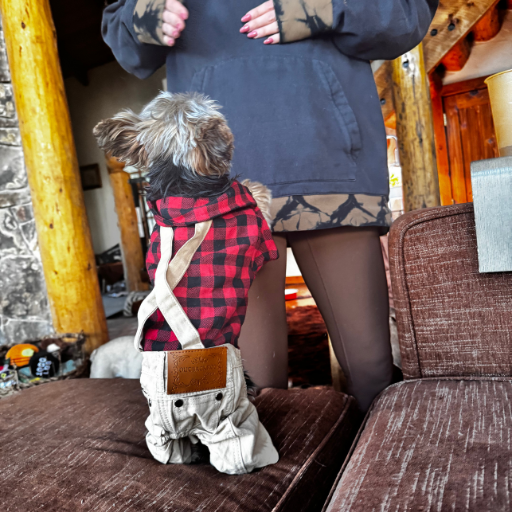 Dog Overalls 